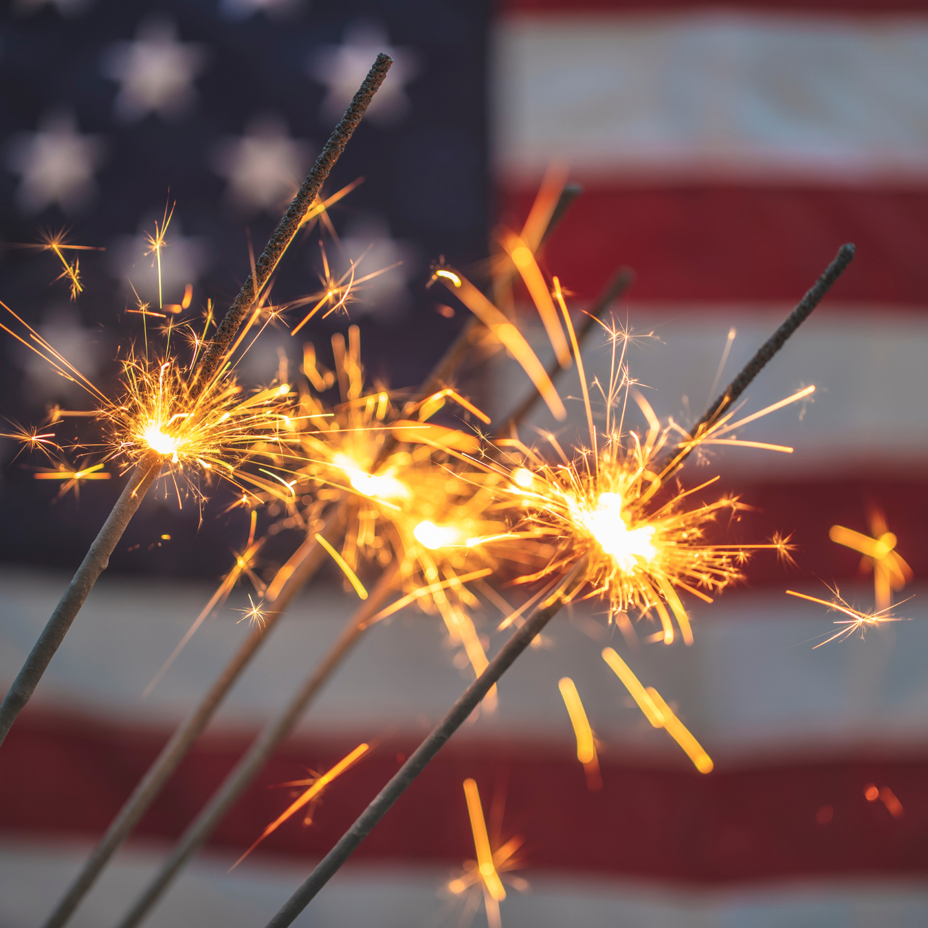 Fourth of July Sale on July 3